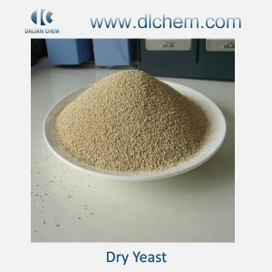 Bakery Bread Instant Dry Yeast Supplier