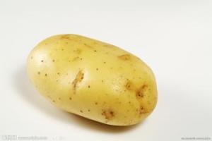 Good Quality Fresh Potato